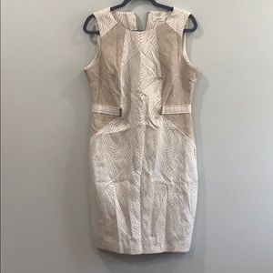 Calvin Klein Dress